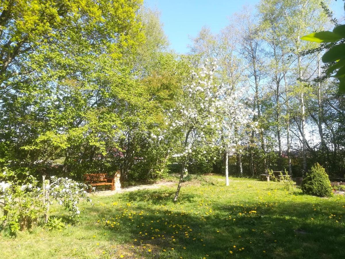 Vegawagen Psyche, Een Sprookje In Coevorden Esterno foto