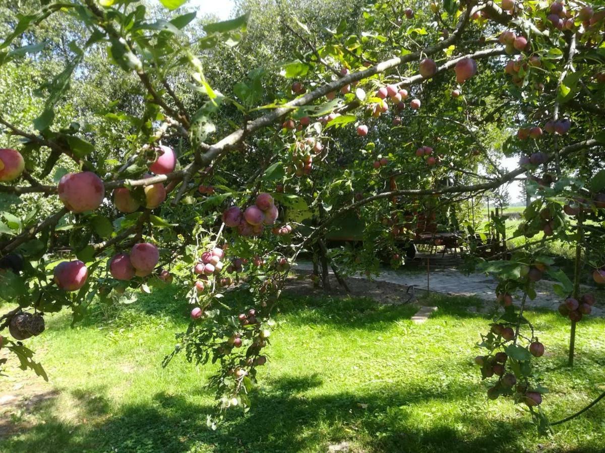 Vegawagen Psyche, Een Sprookje In Coevorden Esterno foto