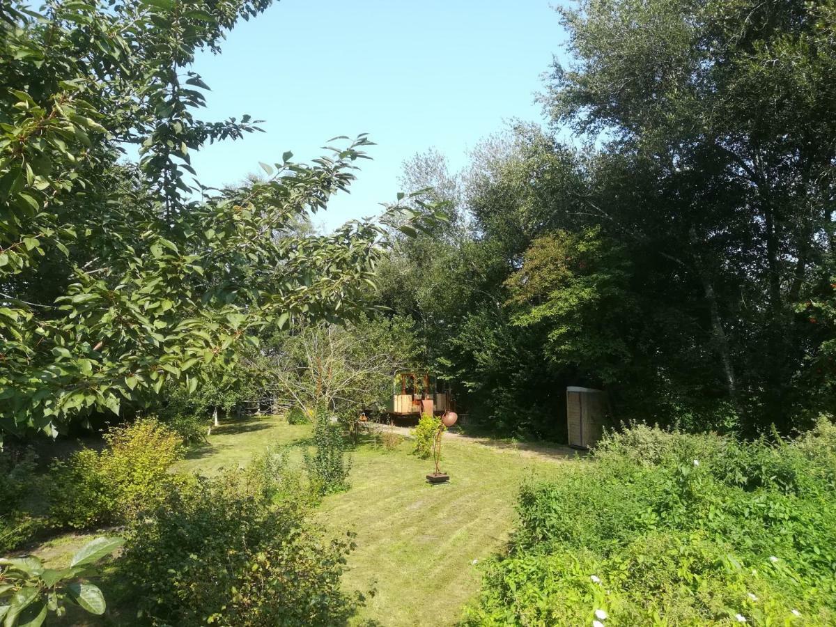 Vegawagen Psyche, Een Sprookje In Coevorden Esterno foto